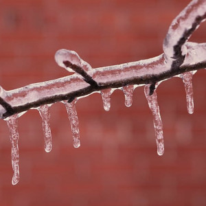 Прогноз погоды во Владимирской области на 9 декабря