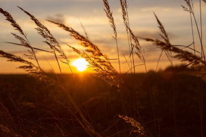 28 день Великого поста: что можно и нельзя 14 апреля