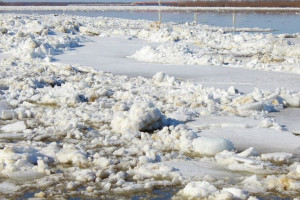 Во Владимирской области понтонный мост развели из-за ледохода
