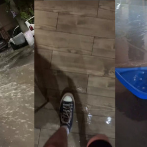 Владимирский центр современной культуры «Флигель» выступил с криком души