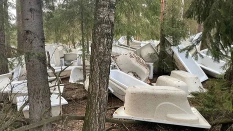 Во владимирском лесу растащили кладбище ванн
