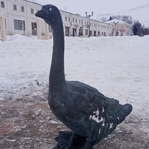 В центре Юрьев-Польского установили скульптуру гуся