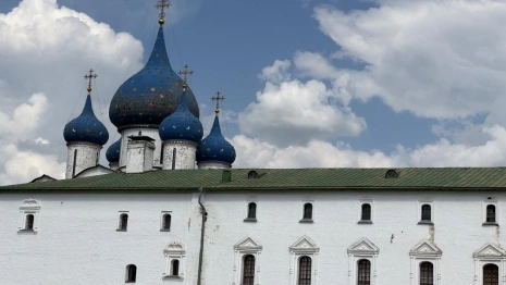 Владимирский губернатор прокомментировал разделение Суздальского района