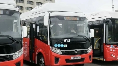 Во Владимирской области купят 28 новых автобусов в предстоящем году