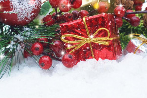 Прогноз погоды во Владимире и области на Рождество-2026