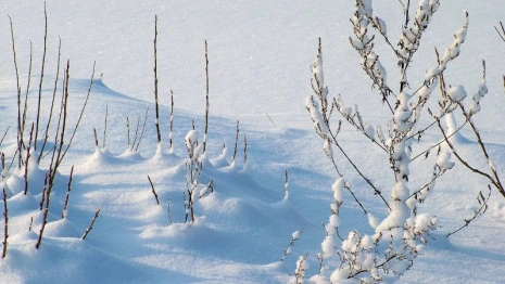 Прогноз погоды во Владимирской области на 7 января
