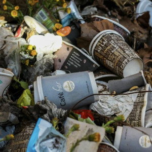 В Камешково подрядчик по оборудованию контейнерных площадок кинул чиновников на 1,6 млн рублей