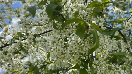 Прогноз погоды во Владимирской области на 8 июня