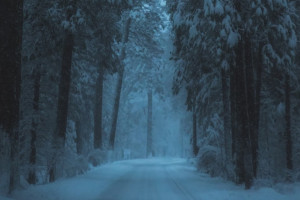 Во Владимирской области нашли мертвым 85-летнего дедушку