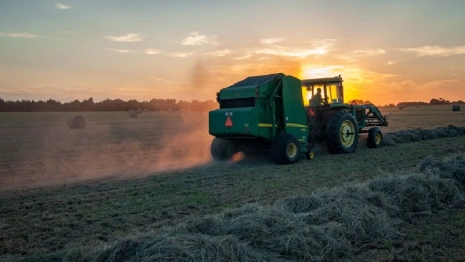 Во Владимирской области увеличили гранты для фермеров