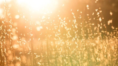 Во Владимирской области продолжится бабье лето