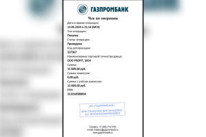 Компания Z-волонтеров в день скандала спустила 27 тысяч во владимирском ресторане