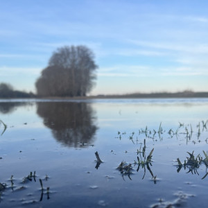 Единственную дорогу между поселками в Московской и Владимирской областями затопило в паводок