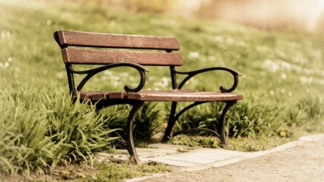 Закупка лавочек в Муроме обернулась судом