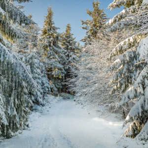 Прогноз погоды во Владимире и области на 5 февраля