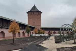 В Суздале в Спасо-Евфимиевом монастыре высадят 13 лип 