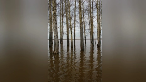 Во Владимирской области Нерль разлилась на 3 км