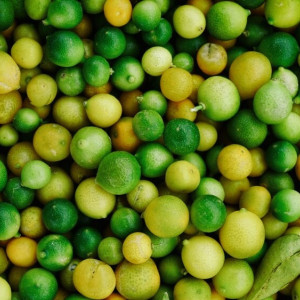 Глафира Горошница: что можно и нельзя делать 9 мая