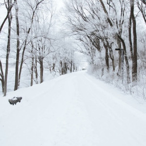 Прогноз погоды во Владимирской области на 27 ноября