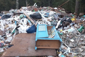 В лесу Камешковского района неизвестные устроили незаконную свалку