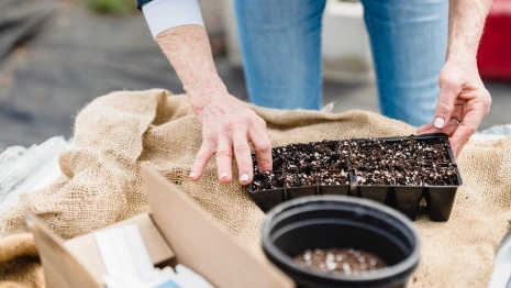 Владимирские дачники пожаловались на отмену дневного рейса Ставрово-Кишлеево 
