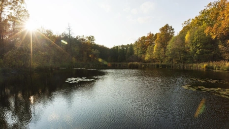 Прогноз погоды во Владимире и области на 10 апреля