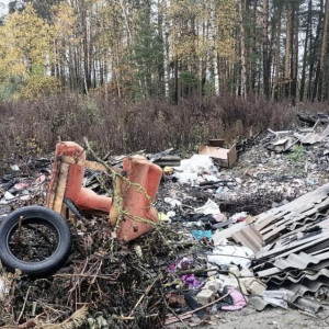 В Селивановском районе нашли 5 стихийных свалок