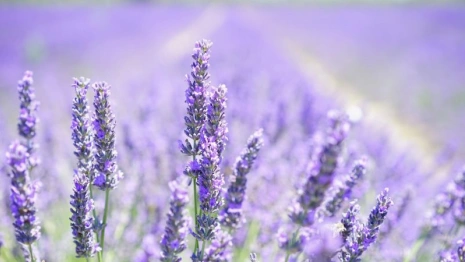 Сысоев день: что можно и чего нельзя делать 19 июля