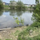 В Коврове около водоема нашли труп 55-летнего мужчины