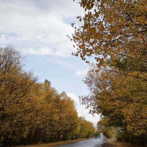 Прогноз погоды во Владимирской области на 9 сентября