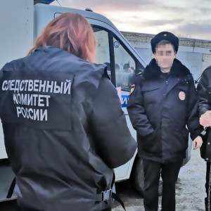 Во Владимирской области сын расправился с матерью