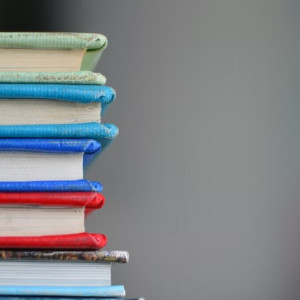 Школу в Суздале начнут строить в 2022 году 