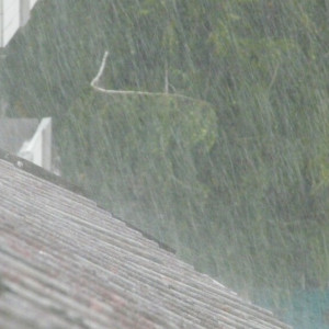 Синоптики оценили риски повторения урагана во Владимирской области