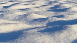 Во Владимирской области 87 управляющих компаний отказались чистить снег
