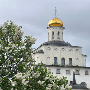 Прогноз погоды во Владимире и области на 19 июня