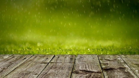 Прогноз погоды во Владимире и области на 14 июля 2025 года