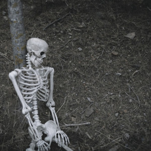 У конного клуба «Зеленая слобода» в Муромском районе нашли скелет мужчины