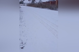 Владимирскую область замело снегом 