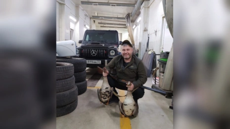 Задержанным за использование рабского труда оказался депутат из Собинки Николай Малышев