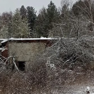 В Судогодском районе село заливало сточными водами из канализации