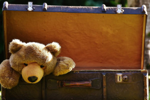 В Александровском районе многодетная семья приютила сбежавших от обстрелов белгородцев