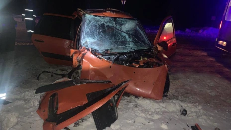 Во Владимирской области в жутком ДТП погибли три человека