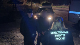 Житель Карабаново получил 9 лет колонии за убийство у кафе