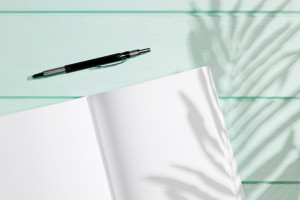 Во Владимире задумались об установке памятника пограничникам