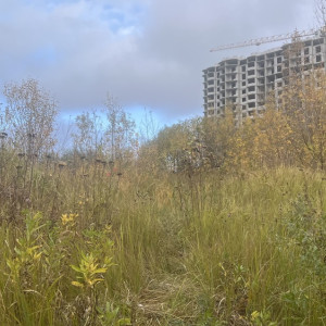 Владимирские чиновники выяснят причину пропажи забора на радиомогильнике