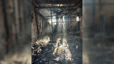 Появились фото владимирского экзотариума после мощного пожара