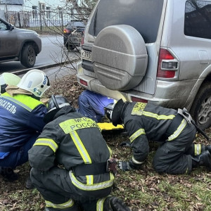 Авария со сбитой женщиной на улице Студенческой во Владимире обернулась уголовным делом