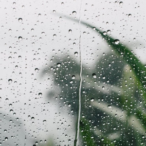 Во Владимирскую область пришло временное похолодание