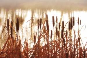 30 день Великого поста: что можно и нельзя 16 апреля
