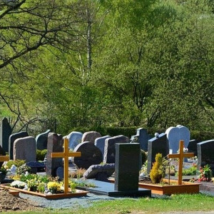 Во Владимирской области появится новое кладбище